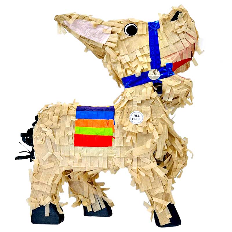 RAW Pinata Cornucopia product image