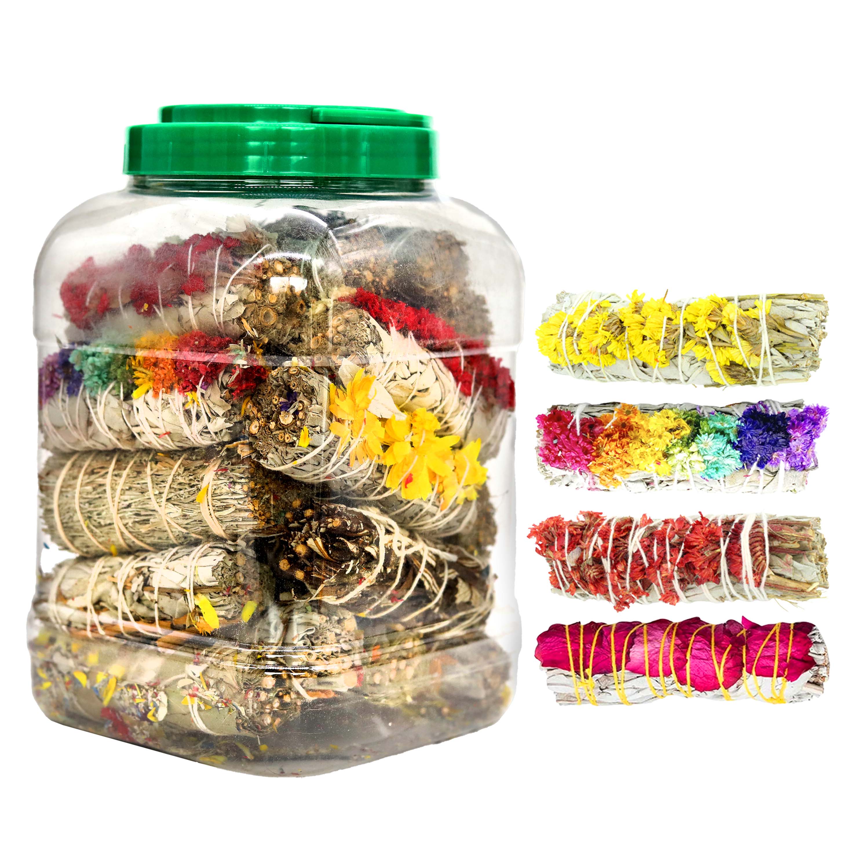Variety Sage | 4 inch | Assorted Colors | 24 Count Jar product image